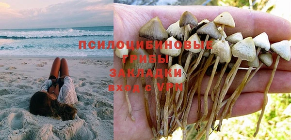 метадон Аркадак