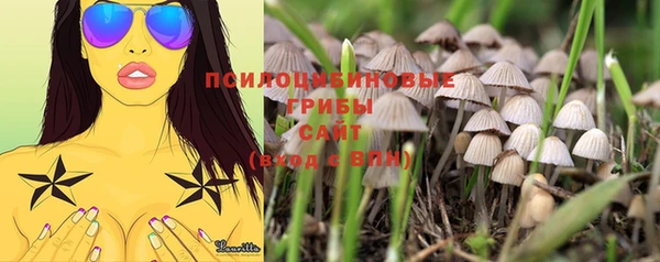 круглые Арсеньев